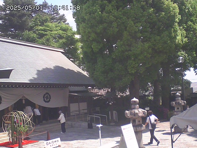livecamera